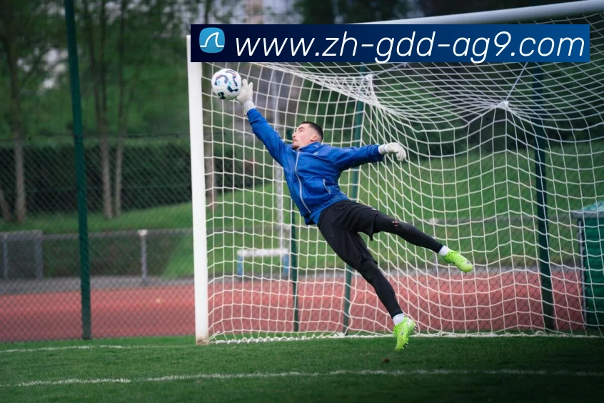 ag9游会APP 封面图